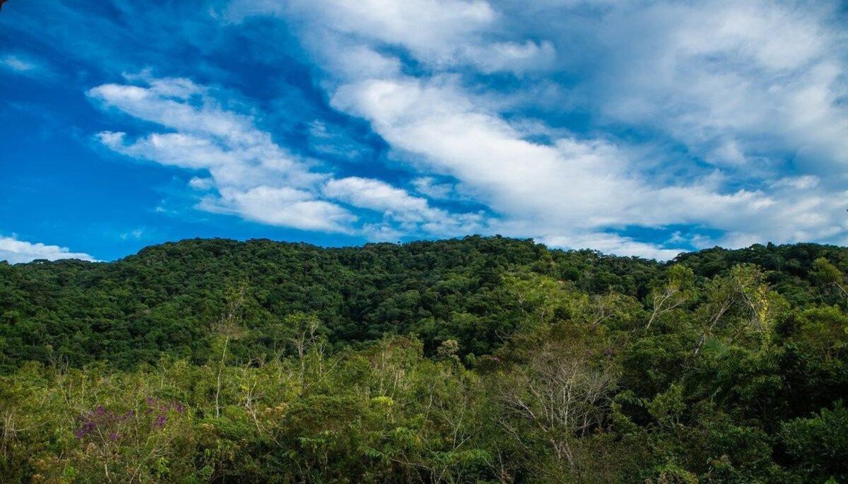 Loft Superior Villa Dalle Ubatuba Kültér fotó